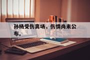 星空体育app下载-孙杨受伤离场，伤情尚未公布。