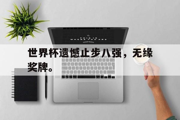 世界杯遗憾止步八强，无缘奖牌。